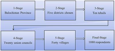 Unveiling the nexus between solar energy adoption and crop farmer income: evidence from Pakistan